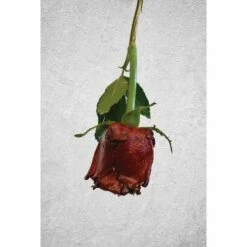 ARTIDEE | CREARTEC Immersion Rust - Set -GREATART Sales ARTIDEE7CCREARTECImmersionRust set 3