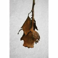 ARTIDEE | CREARTEC Immersion Rust - Set -GREATART Sales ARTIDEE7CCREARTECImmersionRust set 5