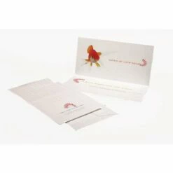 Clairefontaine 'Pollen' DIN Long Folding Cards -GREATART Sales Clairefontaine26230393BPollen26230393BDINLongFoldingCards 4