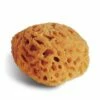 Natural Sponge — 14 Cm -GREATART Sales NaturalSpongeE2809414cm