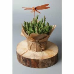 Creartec Dipping Metal -GREATART Sales CreartecDippingMetal 2