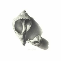 Derwent Graphic Pencil Sets -GREATART Sales DerwentGraphicPencilSets 3