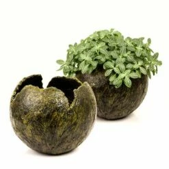 GERSTAECKER | Modelling Paste — Light 7 GERSTAECKER | Modelling Paste — Light -GREATART Sales GERSTAECKER7CModellingPasteE28094light 2