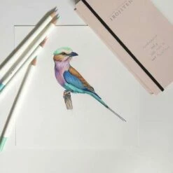 Tombow® Irojiten Book Box Sets Of Coloured Pencils -GREATART Sales IrojitenBookBoxSetsofColouredPencils 4