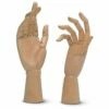 Jax Articulated Model Hands
