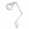Native Lighting | Chameleon Magnifying Lamp - Table Light -GREATART Sales NativeLighting7CChameleonMagnifyingLamp tablelight