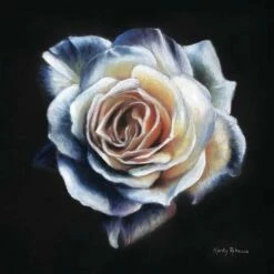 PanPastel Kirsty Rebecca Set -GREATART Sales PanPastelKirstyRebeccaSet 3