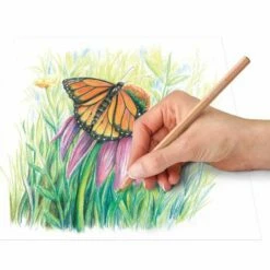 Staedtler Design Journey Pastel Pencil Set 146P -GREATART Sales StaedtlerDesignJourneyPastelPencilSet146P 1